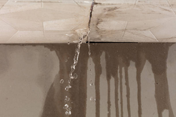 Professional Water Extraction technician working in Negley, OH